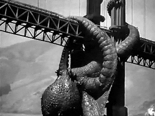 tumblr_mefbslrebt1qg39ewo1_500